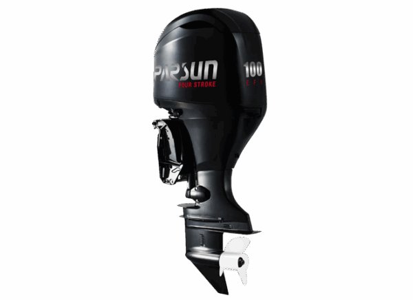 PARSUN F100FEL-T-EFI