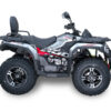 Aodes Pathcross MAX 300i